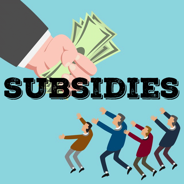 Subsidies voor het oprapen!